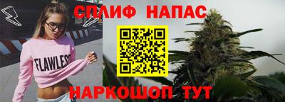 гидропоника Гусь-Хрустальный