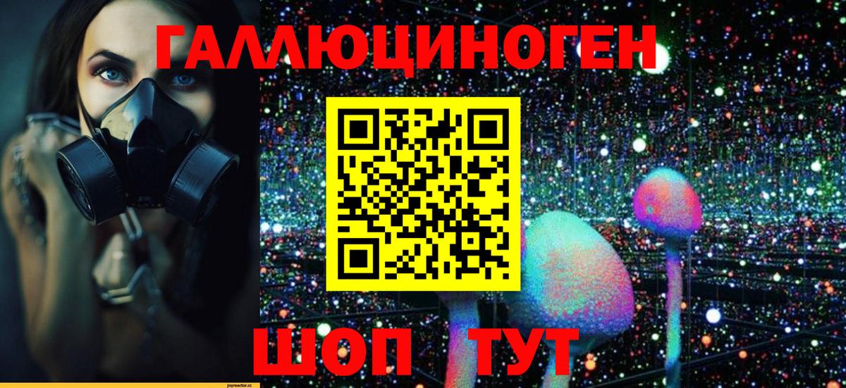 Псилоцибиновые грибы Psilocybe  Галлюциногенные грибы Psilocybine cubensis  Вход с VPN  как найти   Муравленко 
